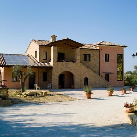 Agriturismo Il Falco SantʼElpidio a Mare Εξωτερικό φωτογραφία