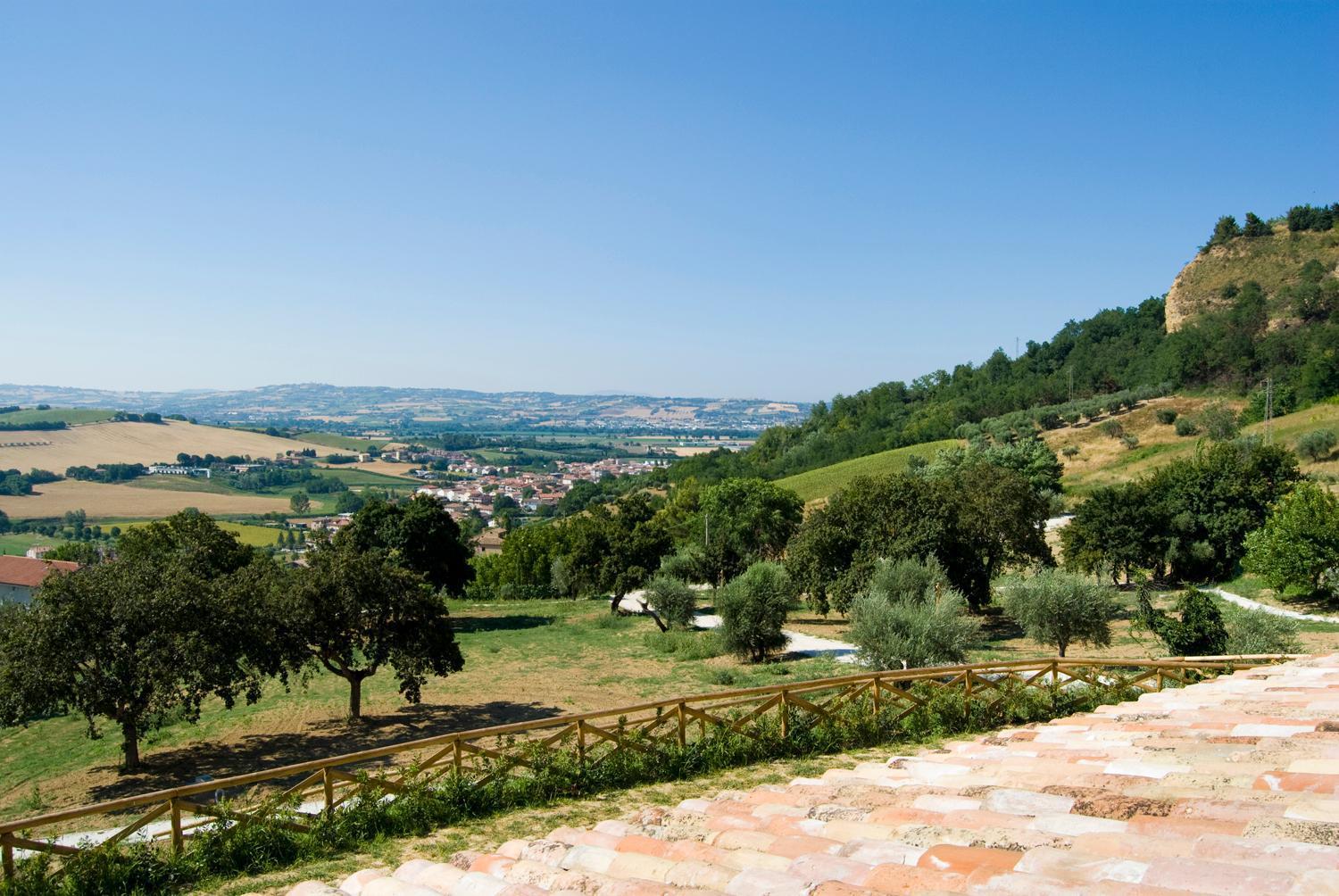 Agriturismo Il Falco SantʼElpidio a Mare Εξωτερικό φωτογραφία