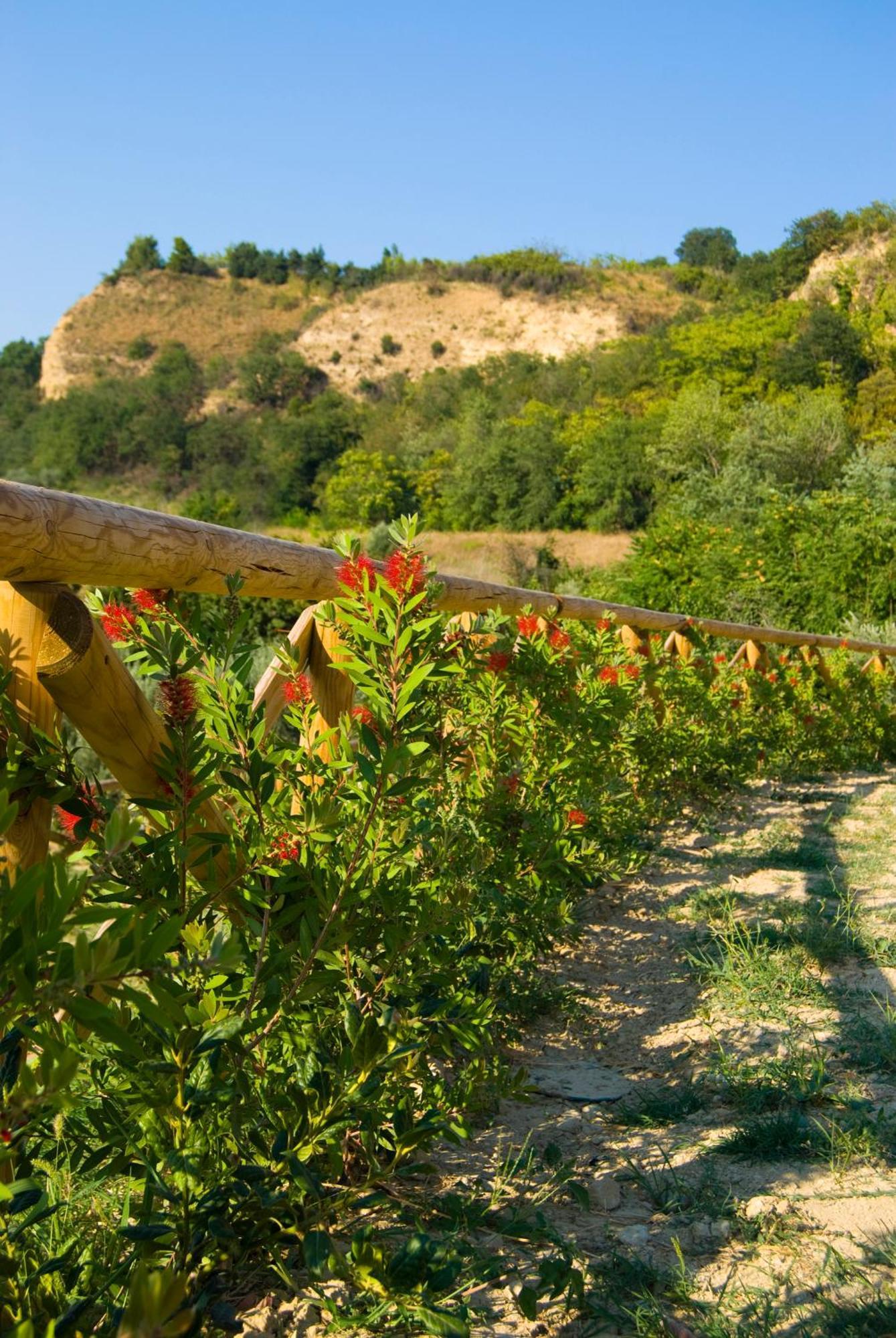 Agriturismo Il Falco SantʼElpidio a Mare Εξωτερικό φωτογραφία